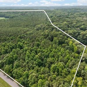 Photo #16 of 73.58 AC Milners Road, Suffolk, Virginia 73.6 acres