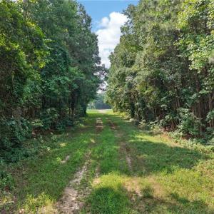 Photo #17 of 73.58 AC Milners Road, Suffolk, Virginia 73.6 acres