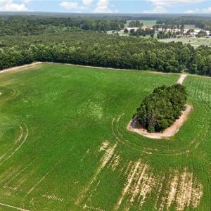 Photo #18 of 73.58 AC Milners Road, Suffolk, Virginia 73.6 acres