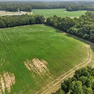 Photo #19 of 73.58 AC Milners Road, Suffolk, Virginia 73.6 acres