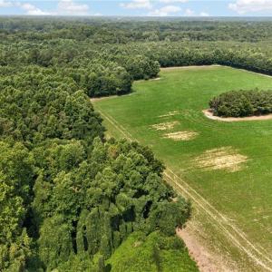 Photo #20 of 73.58 AC Milners Road, Suffolk, Virginia 73.6 acres