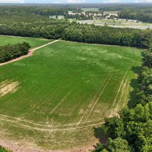 Photo #21 of 73.58 AC Milners Road, Suffolk, Virginia 73.6 acres