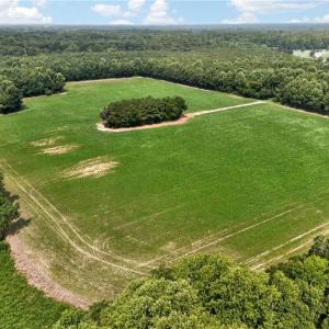 Photo #22 of 73.58 AC Milners Road, Suffolk, Virginia 73.6 acres