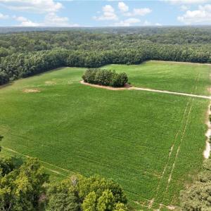 Photo #23 of 73.58 AC Milners Road, Suffolk, Virginia 73.6 acres