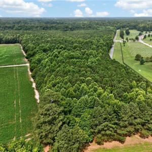 Photo #24 of 73.58 AC Milners Road, Suffolk, Virginia 73.6 acres
