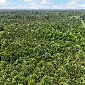 Photo #25 of 73.58 AC Milners Road, Suffolk, Virginia 73.6 acres