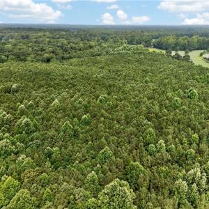 Photo #26 of 73.58 AC Milners Road, Suffolk, Virginia 73.6 acres