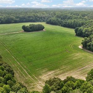 Photo #28 of 73.58 AC Milners Road, Suffolk, Virginia 73.6 acres