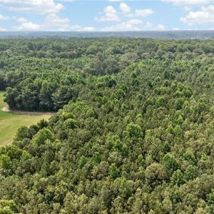 Photo #30 of 73.58 AC Milners Road, Suffolk, Virginia 73.6 acres
