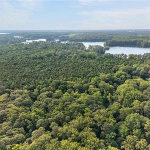 Photo #4 of 73.58 AC Milners Road, Suffolk, Virginia 73.6 acres