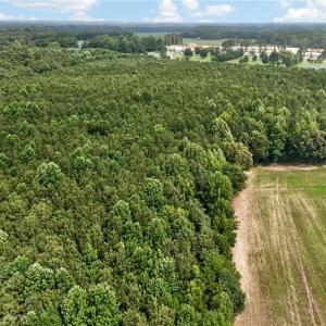 Photo #31 of 73.58 AC Milners Road, Suffolk, Virginia 73.6 acres