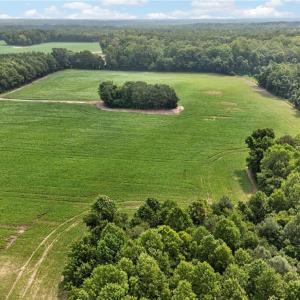 Photo #32 of 73.58 AC Milners Road, Suffolk, Virginia 73.6 acres