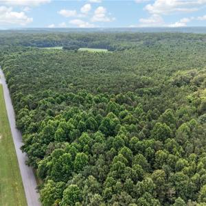 Photo #33 of 73.58 AC Milners Road, Suffolk, Virginia 73.6 acres