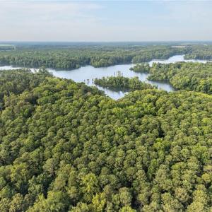 Photo #5 of 73.58 AC Milners Road, Suffolk, Virginia 73.6 acres