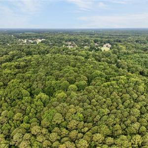Photo #6 of 73.58 AC Milners Road, Suffolk, Virginia 73.6 acres