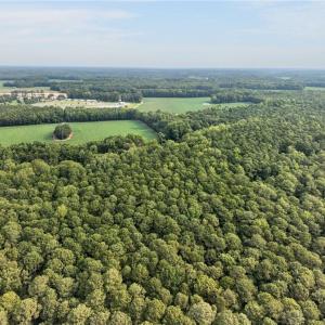 Photo #7 of 73.58 AC Milners Road, Suffolk, Virginia 73.6 acres
