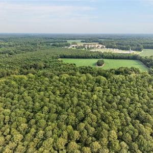 Photo #8 of 73.58 AC Milners Road, Suffolk, Virginia 73.6 acres
