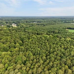 Photo #9 of 73.58 AC Milners Road, Suffolk, Virginia 73.6 acres