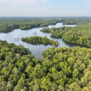 Photo #10 of 73.58 AC Milners Road, Suffolk, Virginia 73.6 acres