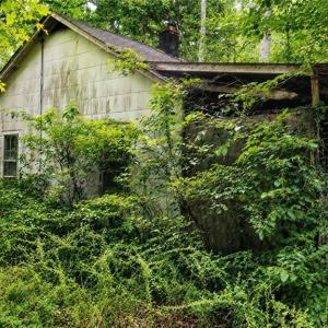 Photo #3 of 9225 Diascund Road, Lanexa, Virginia 4.0 acres