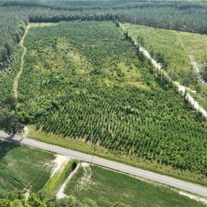 Photo #1 of 25.4 Courthouse Road, Stony Creek, Virginia 25.4 acres
