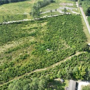 Photo #15 of 25.4 Courthouse Road, Stony Creek, Virginia 25.4 acres