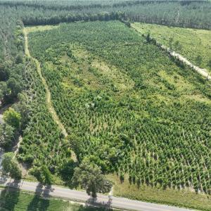 Photo #16 of 25.4 Courthouse Road, Stony Creek, Virginia 25.4 acres