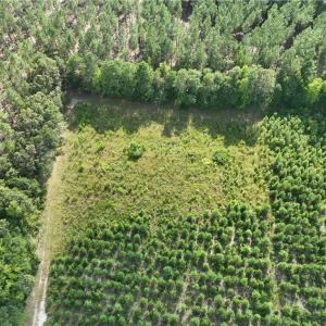 Photo #19 of 25.4 Courthouse Road, Stony Creek, Virginia 25.4 acres