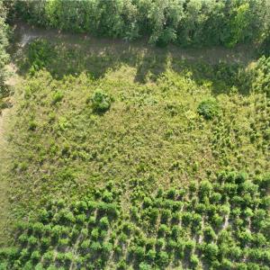 Photo #20 of 25.4 Courthouse Road, Stony Creek, Virginia 25.4 acres