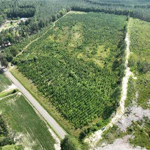 Photo #3 of 25.4 Courthouse Road, Stony Creek, Virginia 25.4 acres
