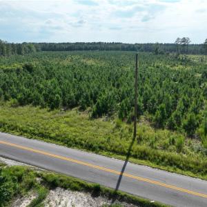 Photo #21 of 25.4 Courthouse Road, Stony Creek, Virginia 25.4 acres