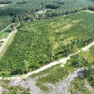 Photo #4 of 25.4 Courthouse Road, Stony Creek, Virginia 25.4 acres