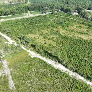 Photo #6 of 25.4 Courthouse Road, Stony Creek, Virginia 25.4 acres