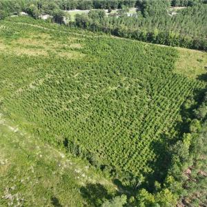 Photo #8 of 25.4 Courthouse Road, Stony Creek, Virginia 25.4 acres