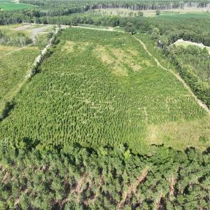 Photo #9 of 25.4 Courthouse Road, Stony Creek, Virginia 25.4 acres
