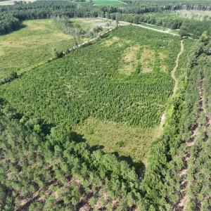 Photo #10 of 25.4 Courthouse Road, Stony Creek, Virginia 25.4 acres