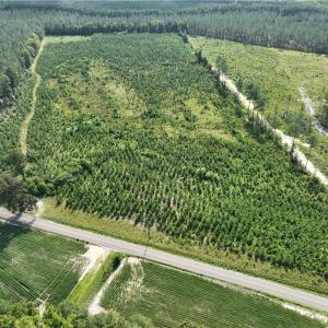 Photo #1 of 25.4 Courthouse Road, Stony Creek, Virginia 25.4 acres