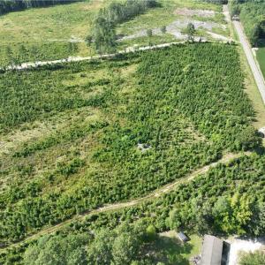 Photo #15 of 25.4 Courthouse Road, Stony Creek, Virginia 25.4 acres