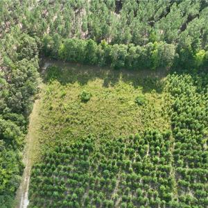 Photo #19 of 25.4 Courthouse Road, Stony Creek, Virginia 25.4 acres