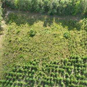 Photo #20 of 25.4 Courthouse Road, Stony Creek, Virginia 25.4 acres
