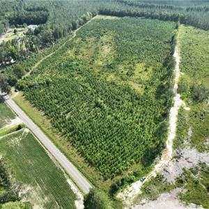 Photo #3 of 25.4 Courthouse Road, Stony Creek, Virginia 25.4 acres