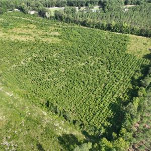 Photo #8 of 25.4 Courthouse Road, Stony Creek, Virginia 25.4 acres