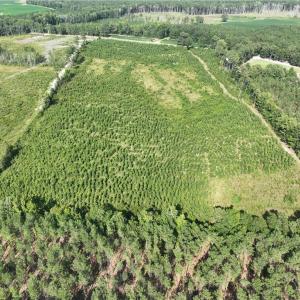Photo #9 of 25.4 Courthouse Road, Stony Creek, Virginia 25.4 acres