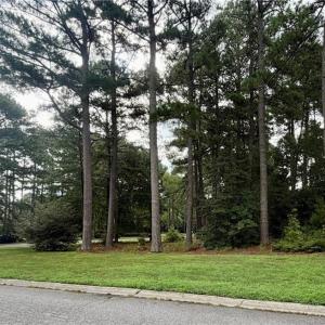Photo #2 of Lot 8 Pitchkettle Point Drive, Suffolk, Virginia