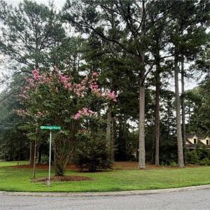 Photo #3 of Lot 8 Pitchkettle Point Drive, Suffolk, Virginia