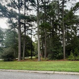 Photo #4 of Lot 8 Pitchkettle Point Drive, Suffolk, Virginia