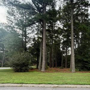Photo #6 of Lot 8 Pitchkettle Point Drive, Suffolk, Virginia