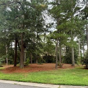 Photo #7 of Lot 8 Pitchkettle Point Drive, Suffolk, Virginia