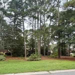 Photo #8 of Lot 8 Pitchkettle Point Drive, Suffolk, Virginia