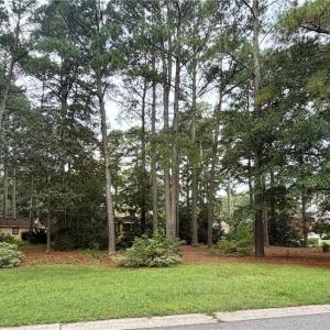 Photo #8 of Lot 8 Pitchkettle Point Drive, Suffolk, Virginia